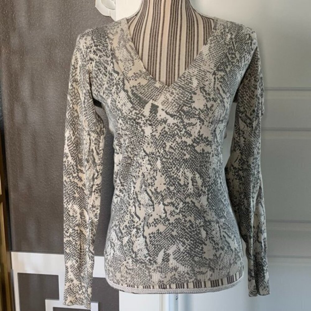 Express V-Neck Snake Skin Print Sweater